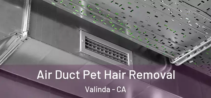  Air Duct Pet Hair Removal Valinda - CA