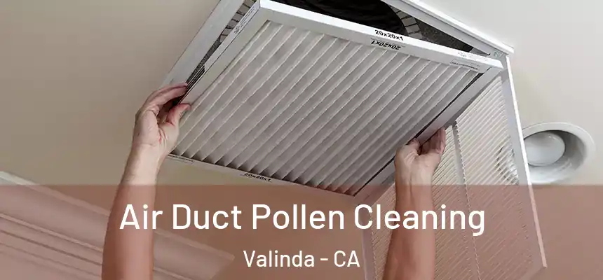  Air Duct Pollen Cleaning Valinda - CA