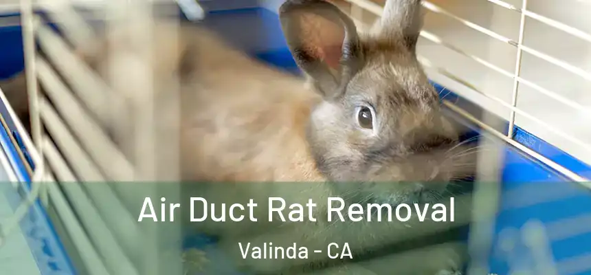  Air Duct Rat Removal Valinda - CA