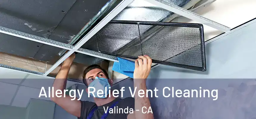 Allergy Relief Vent Cleaning Valinda - CA