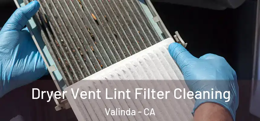 Dryer Vent Lint Filter Cleaning Valinda - CA