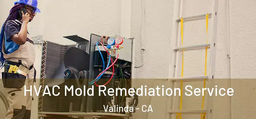  HVAC Mold Remediation Service Valinda - CA