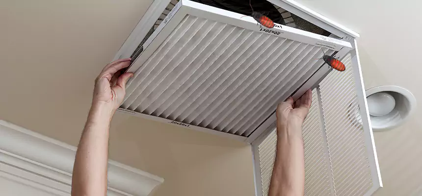 Preventive Cockroach-Proofing for Ducts in Valinda