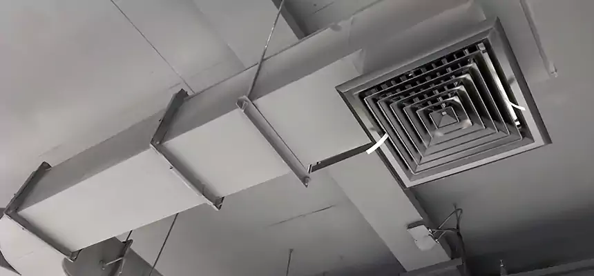 Restorative Allergy Relief Vent Cleaning – Coil, Blower & Housing Detail in Valinda