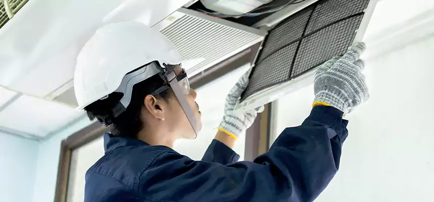 Our Mold & Mildew Removal from Air Ducts Services in Valinda, CA