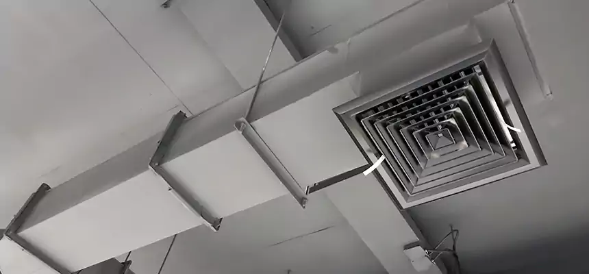 Our Rodent Droppings In Vents Services in Valinda, CA