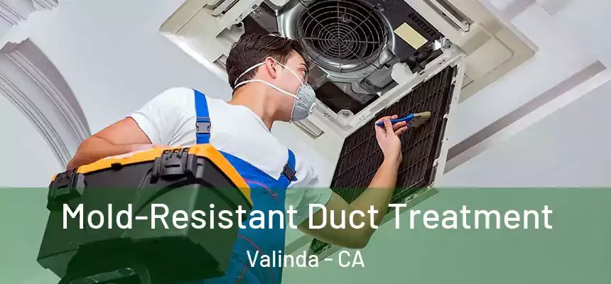  Mold-Resistant Duct Treatment Valinda - CA