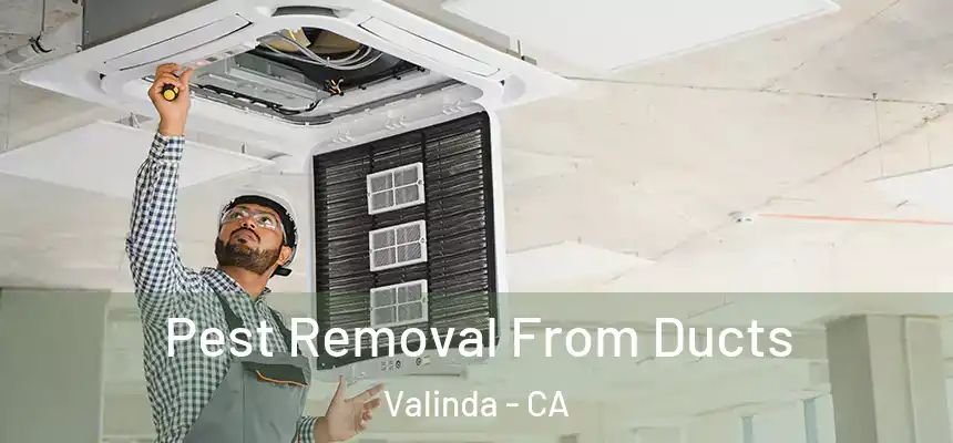  Pest Removal From Ducts Valinda - CA