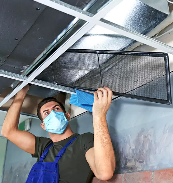 About Air Duct Bacteria Removal in Valinda
