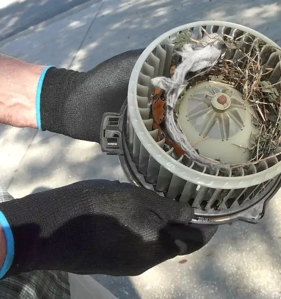 About Air Duct Rat Removal in Valinda, CA