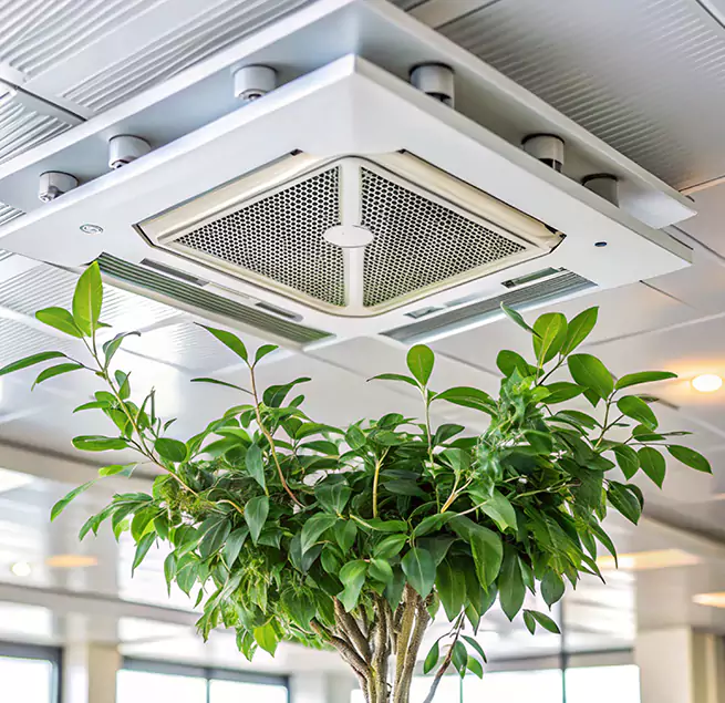 Why Homeowners & Businesses Trust Us in Valinda, CA?